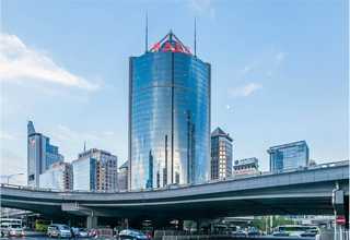 内蒙古手工宠物磨牙零食值得推荐